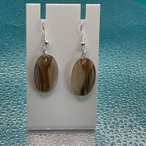 Montana Agate earrings