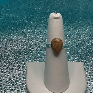 Dragon Bloodstone ring