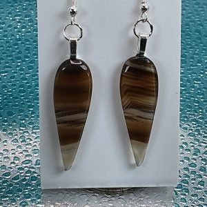 Natural Montana Agate Earrings