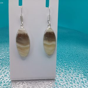 Patterned Agate earrings